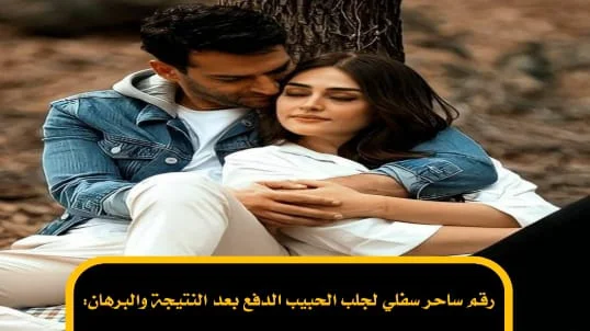رقم ساحر سفلي لجلب الحبيب الدفع بعد النتيجة والبرهان
